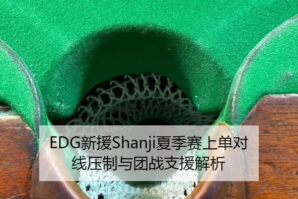 EDG新援Shanji夏季赛上单对线压制与团战支援解析