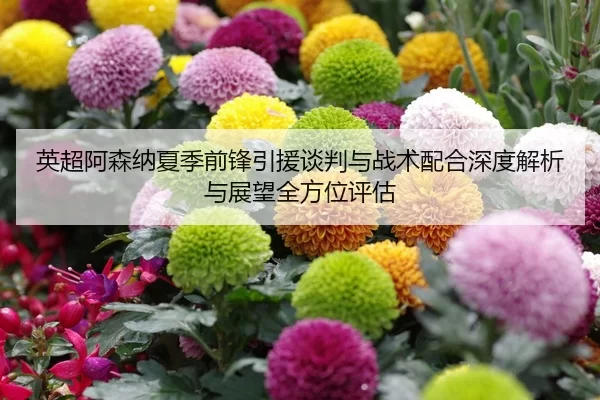 ying-chao-a-sen-na-xia-ji-qian-feng-yin-yuan-tan-pan-yu-zhan-shu-pei-he-shen-du-jie-xi-yu-zhan-wang-quan-fang-wei-ping-2-842.jpg