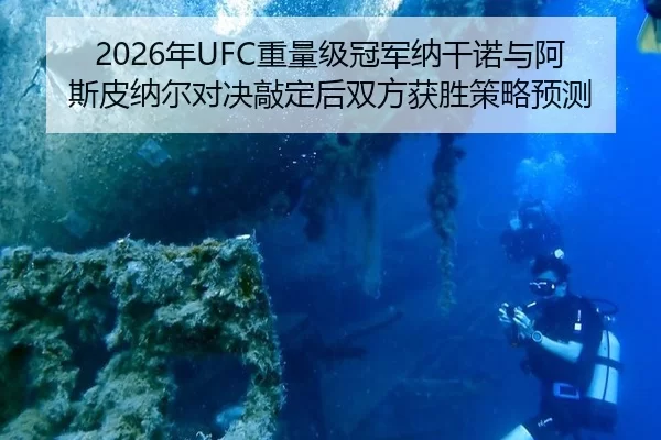 2026年UFC重量级冠军纳干诺与阿斯皮纳尔对决敲定后双方获胜策略预测